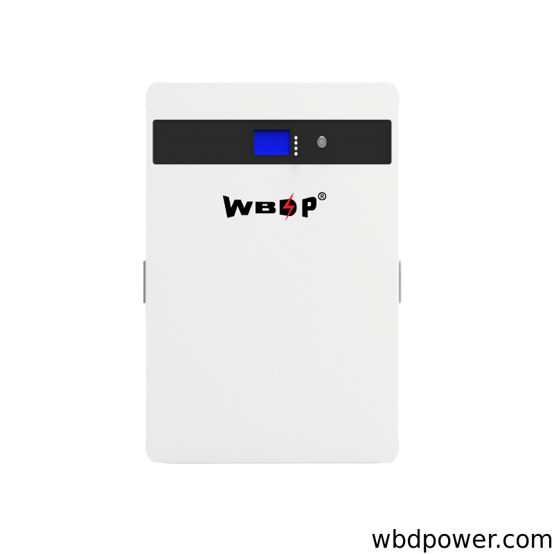 Wall Mounted Lithium LiFePo4 Battery 51.2V 100Ah 5.12kWh Home Solar Storage Battery