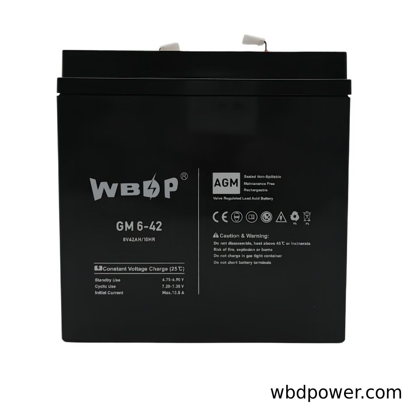 42Ah 6V AGM Battery Sealed Rechargeable SLA Battery For UPS Units, Security Systems / Electronic Equipment