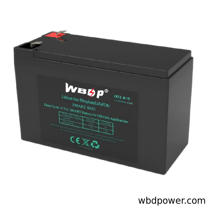 Sealed 12V 10Ah LiFePO4 Battery Lightweight LiFePO4 Li Ion Battery Built In Smart BMS