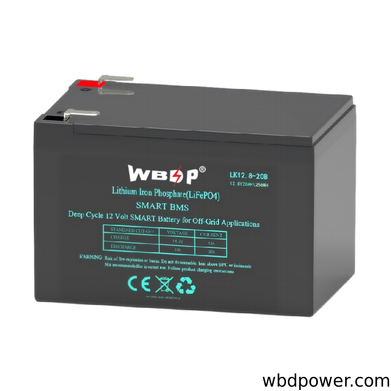 Compact 12V 20Ah LiFePO4 Battery Lightweight LiFePO4 Deep Cycle Battery For Electric Forklift And EV